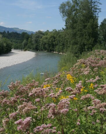 9 Euro Ticket – Ideen für einen Kurztrip ins Allgäu